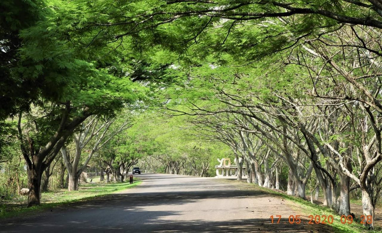 Área verde